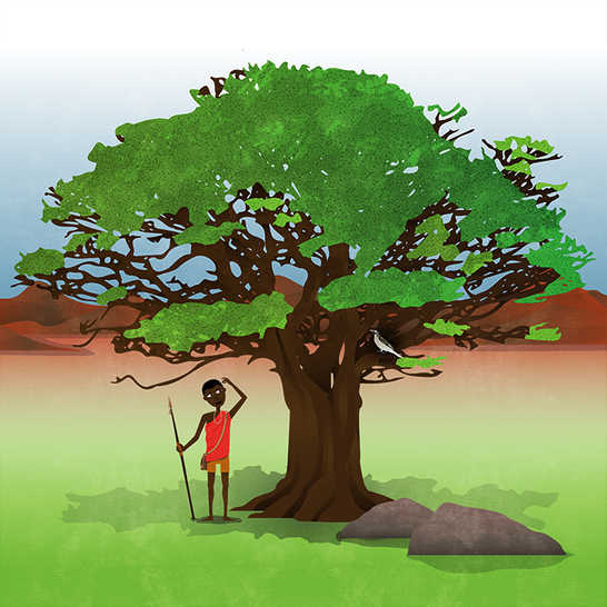 A man looking up at a tree and a bird sitting on a branch.