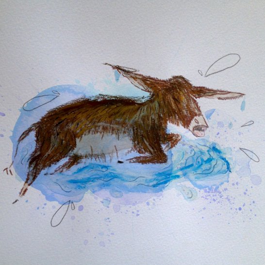 A baby donkey.
