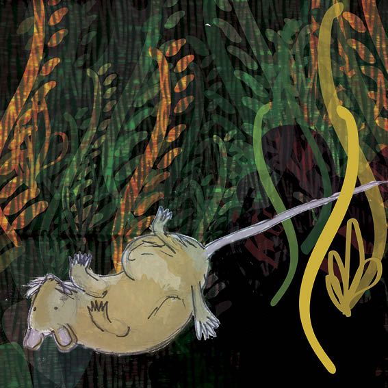Mouse sleeps in a wild forest.