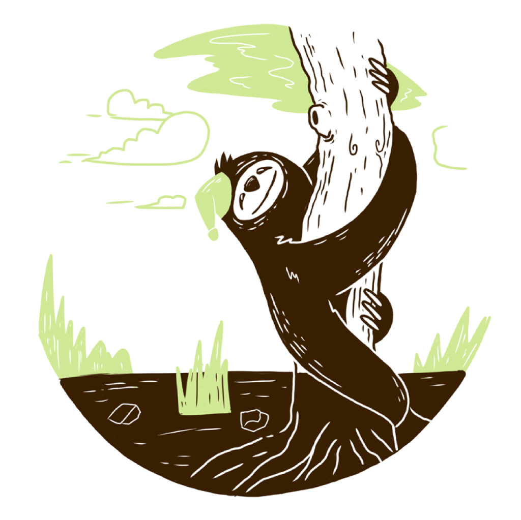 Mr Sloth starts climbing the tree.