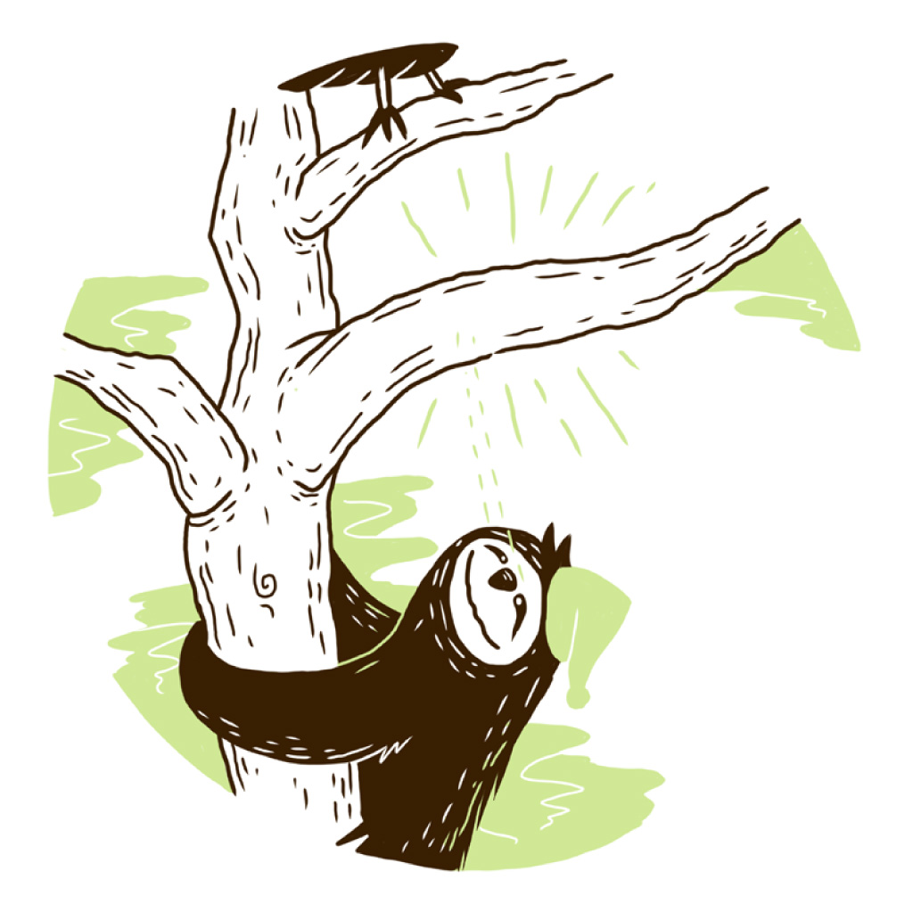 Mr Sloth spots a branch. There are feet nearby.