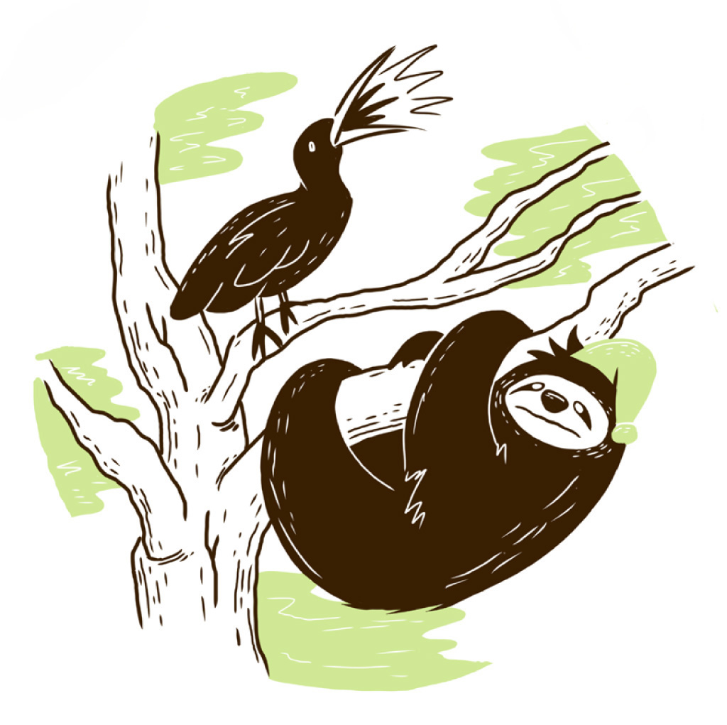 A hadeda is squawking loudly there!