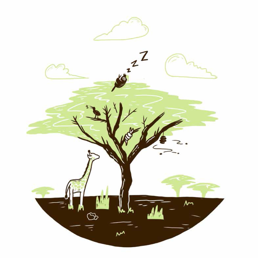 Mr Sloth and the animals are all sleeping nicely in the tree together.