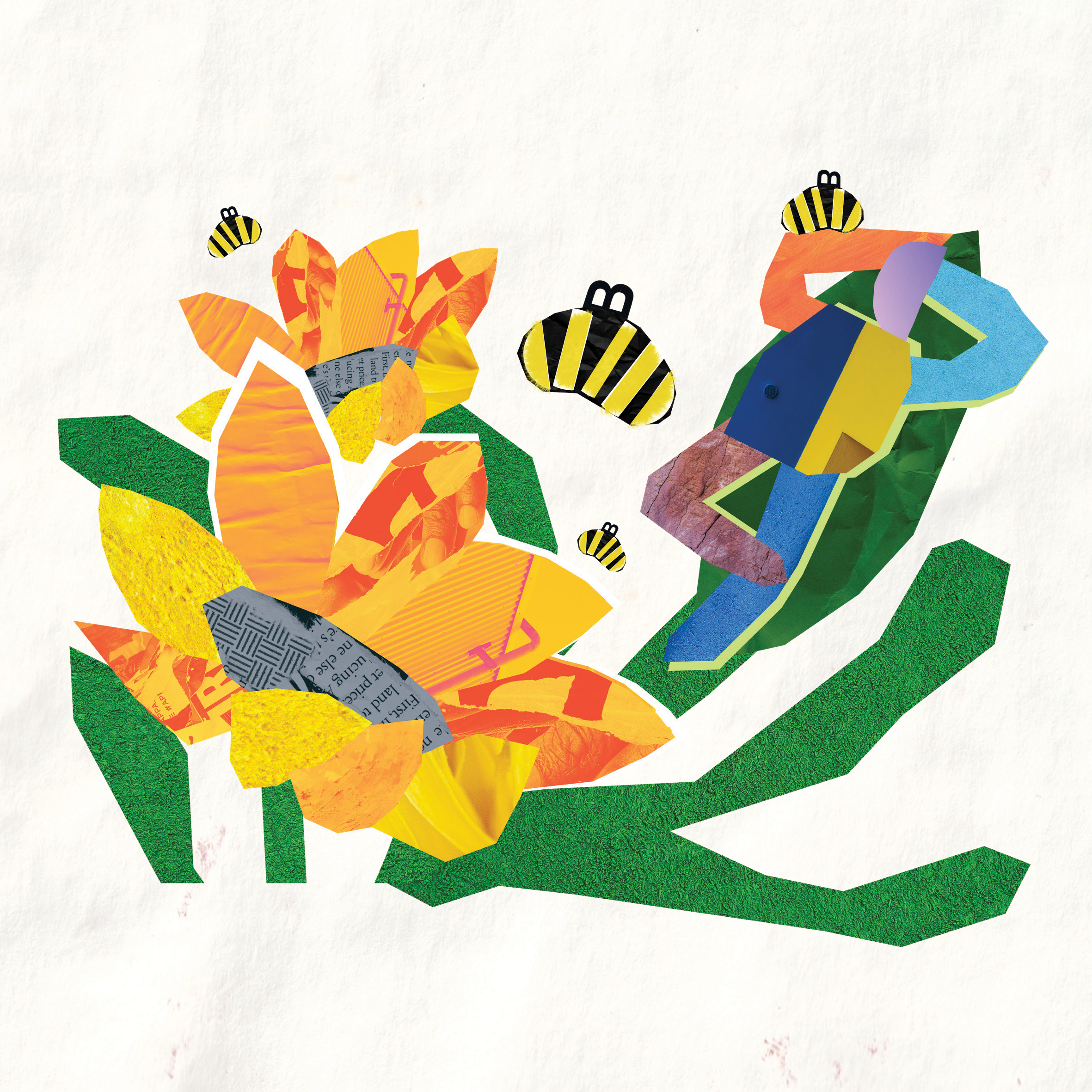 Banzi’s Busy Bees — original illustrated page 14, English text included