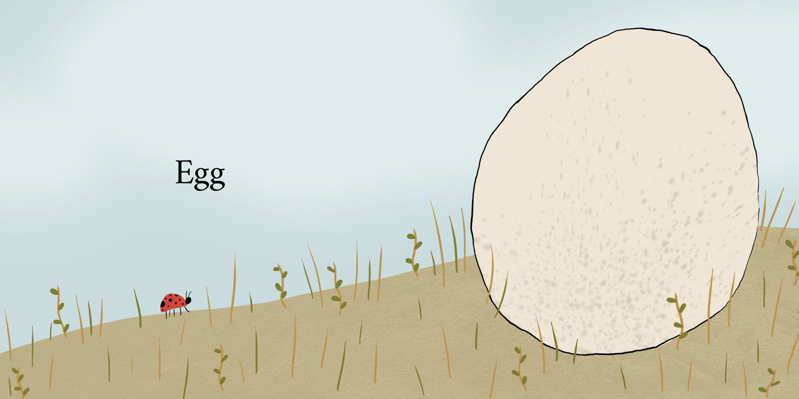 Egg — original illustrated page 2, English text included