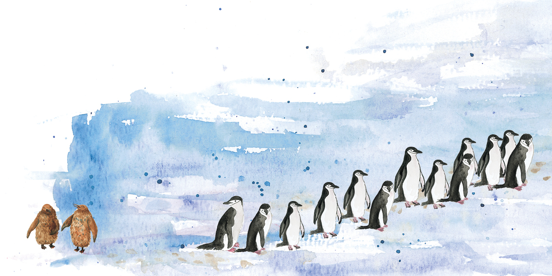 Feathered Friends — original illustrated page 2, English text included