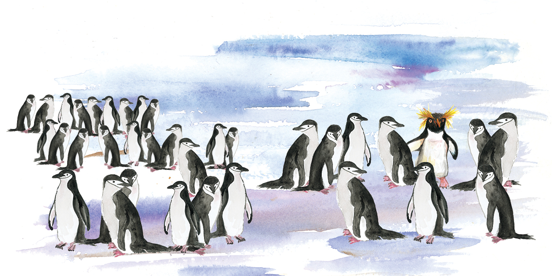 Feathered Friends — original illustrated page 7, English text included