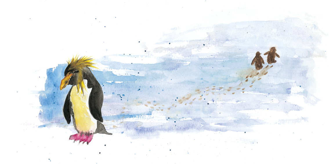Feathered Friends — original illustrated page 9, English text included