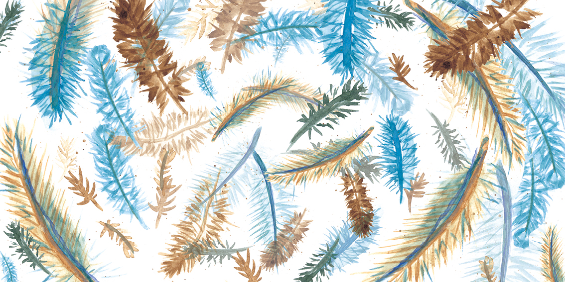 Feathered Friends — original illustrated page 11, English text included