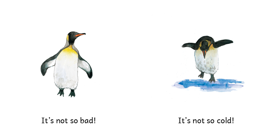 Feathered Friends — original illustrated page 12, English text included