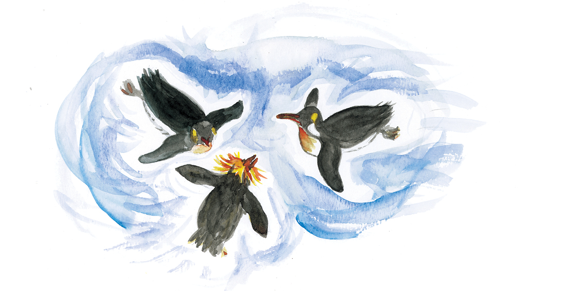 Feathered Friends — original illustrated page 14, English text included