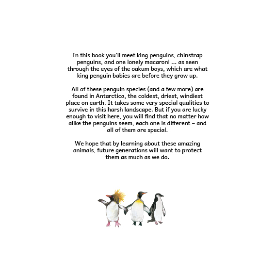 Feathered Friends — original illustrated page 16, English text included
