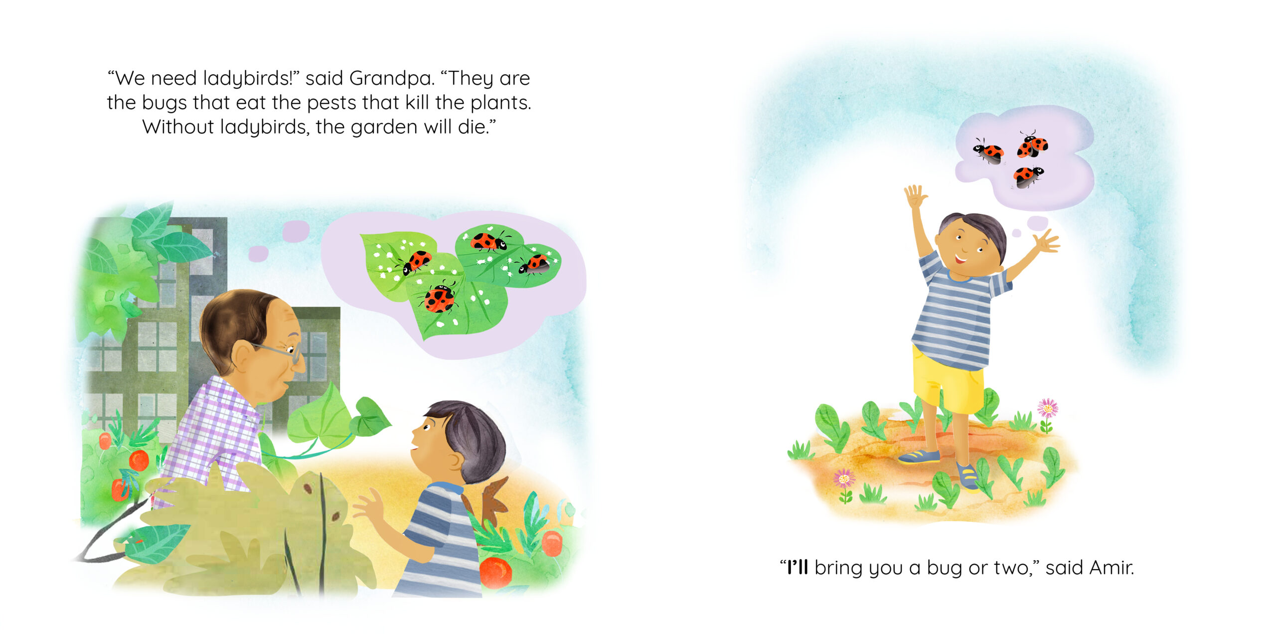 Grandpa Farouk’s Garden — original illustrated page 7, English text included