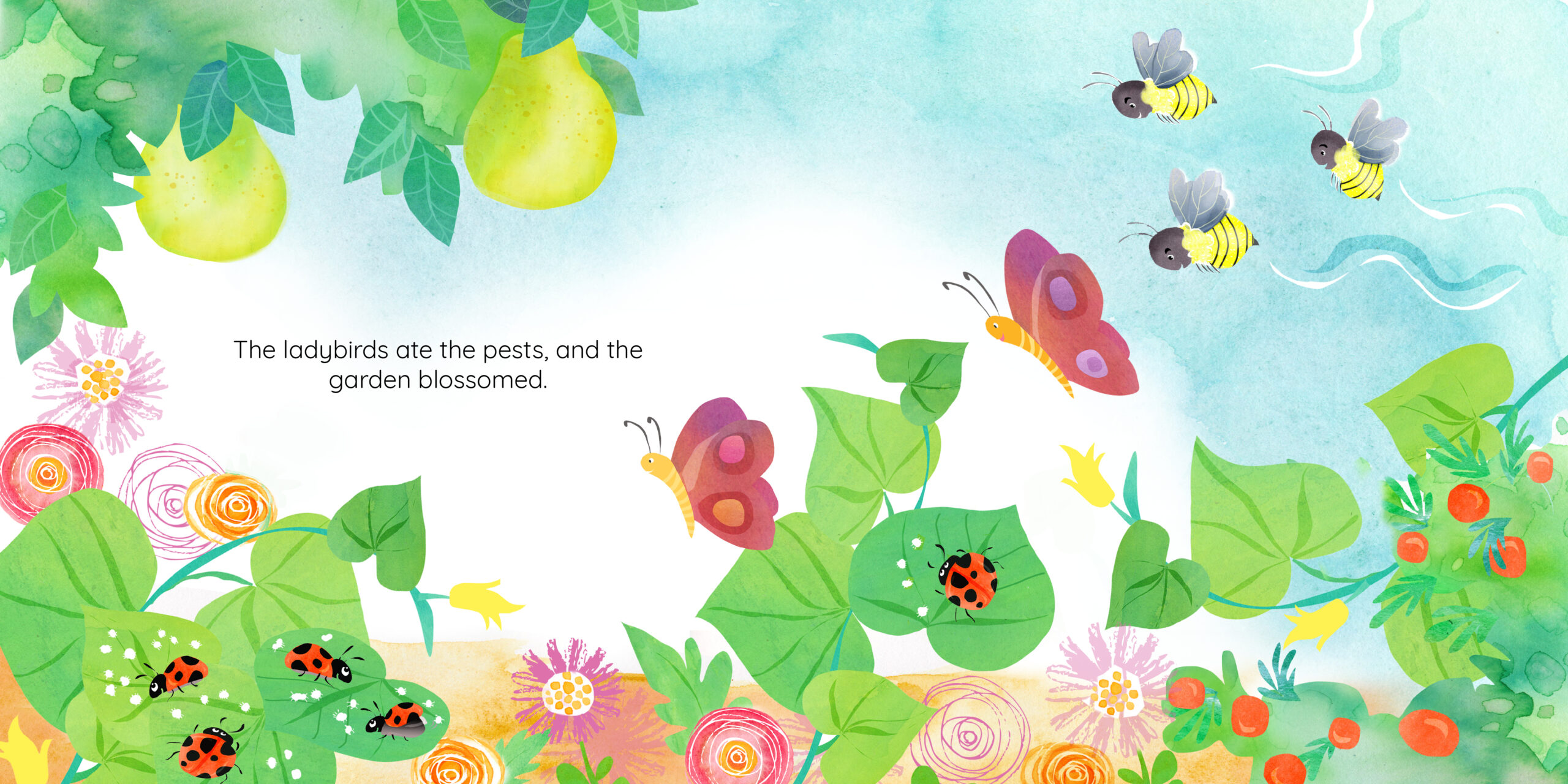 Grandpa Farouk’s Garden — original illustrated page 12, English text included