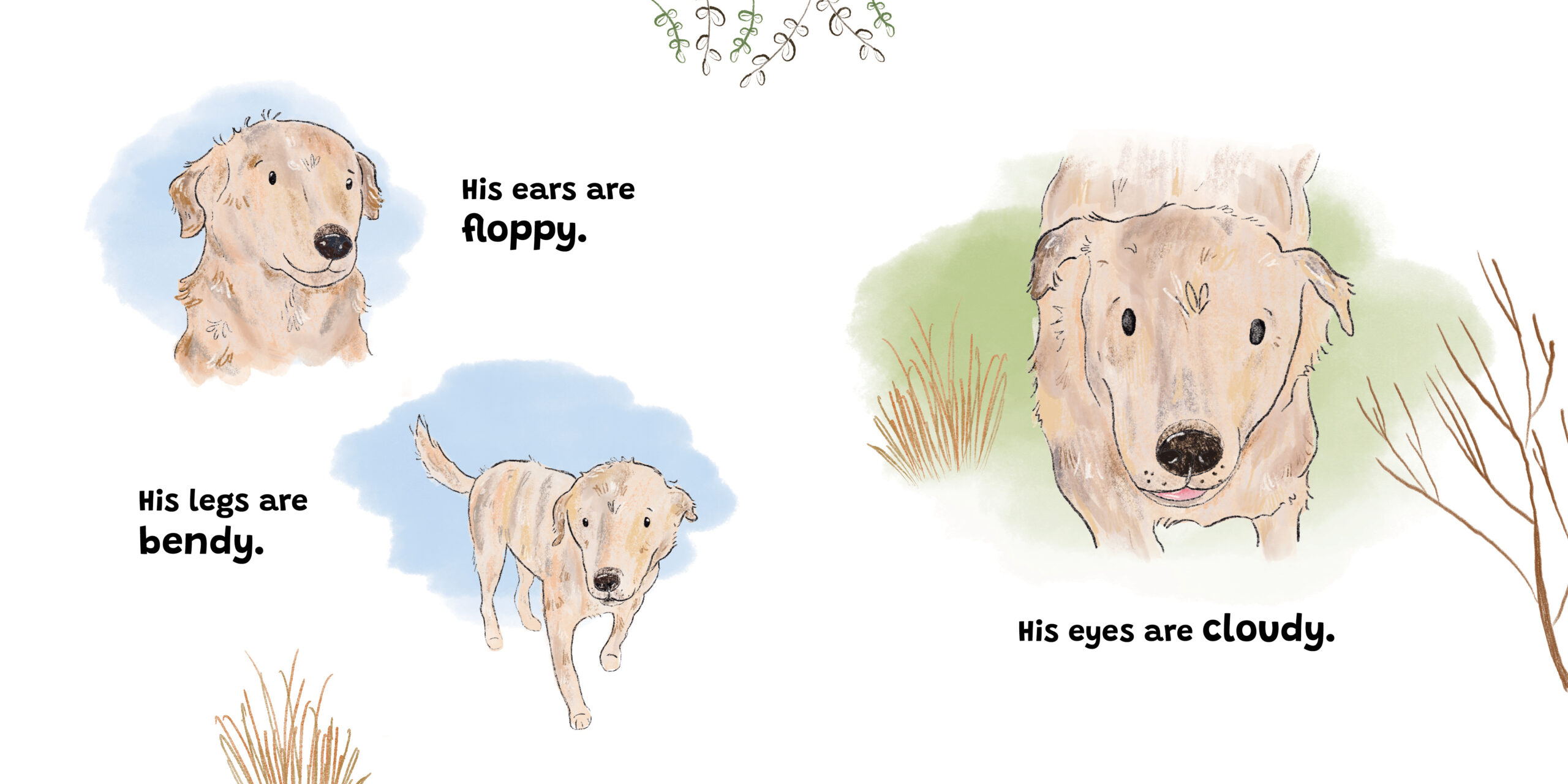 Jock and Me — original illustrated page 3, English text included