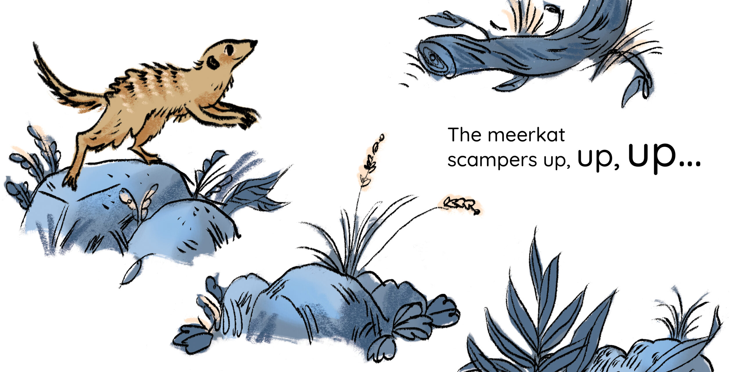 Meerkat magic — original illustrated page 7, English text included