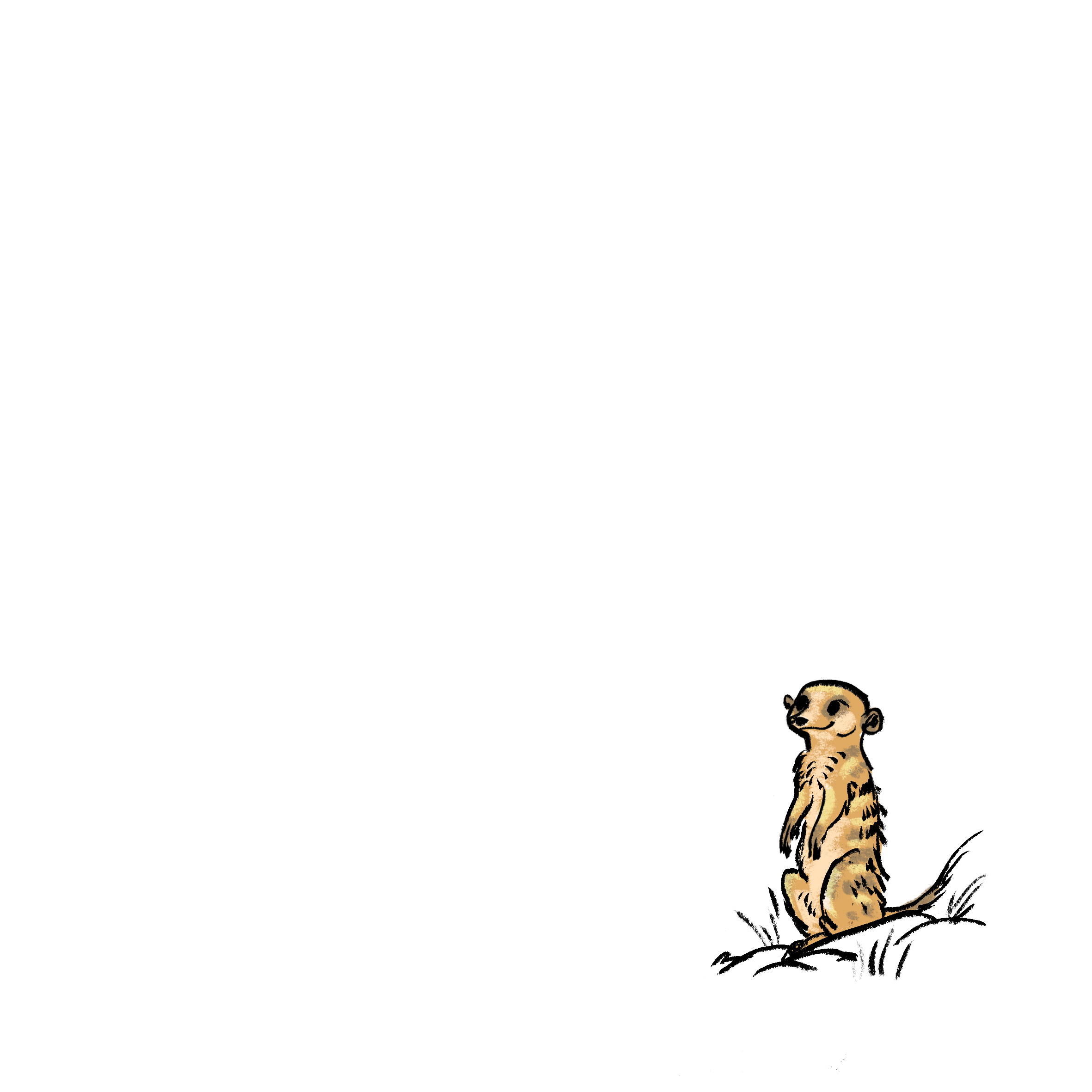 Meerkat magic — original illustrated page 14, English text included