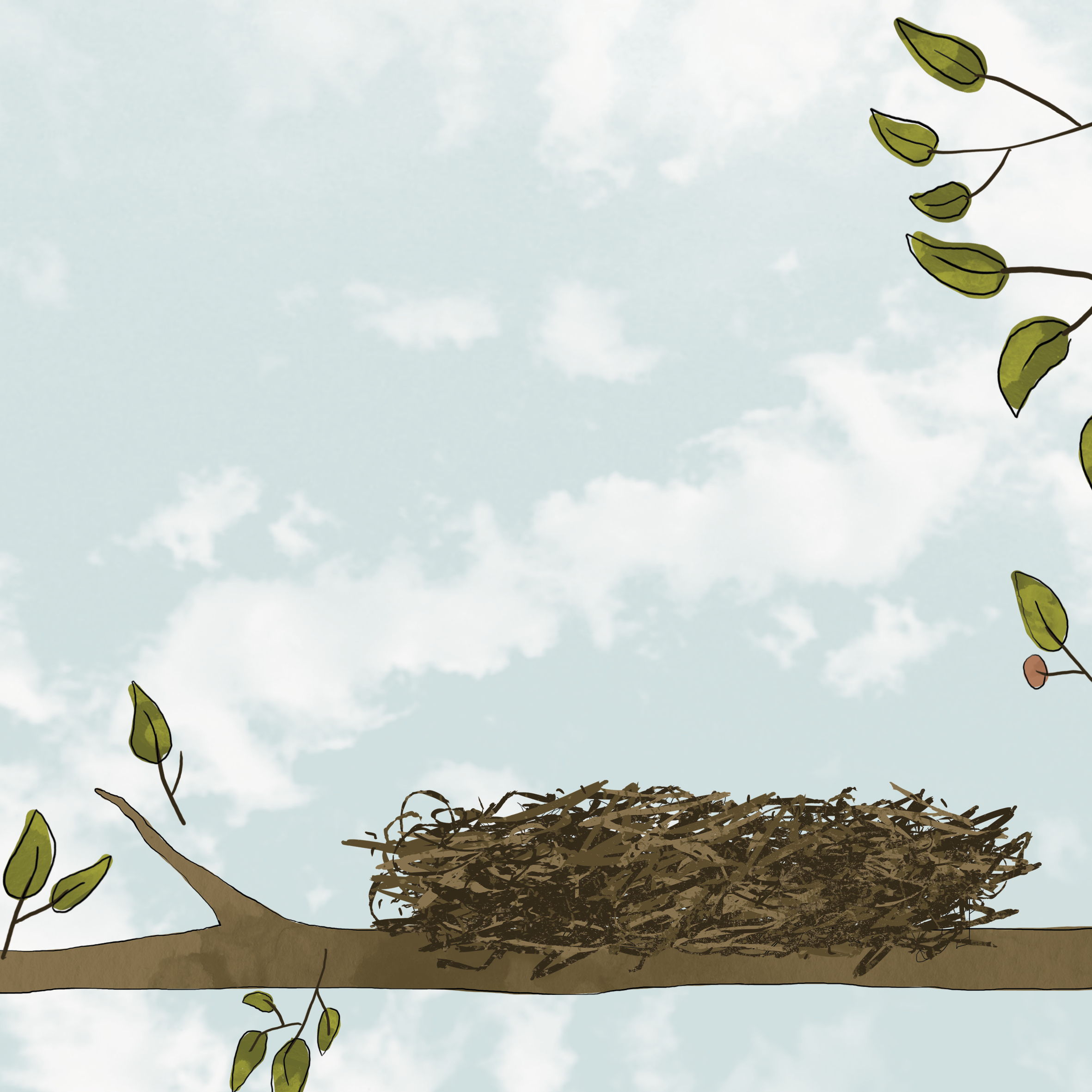 The Best Nest — original illustrated page 14, English text included