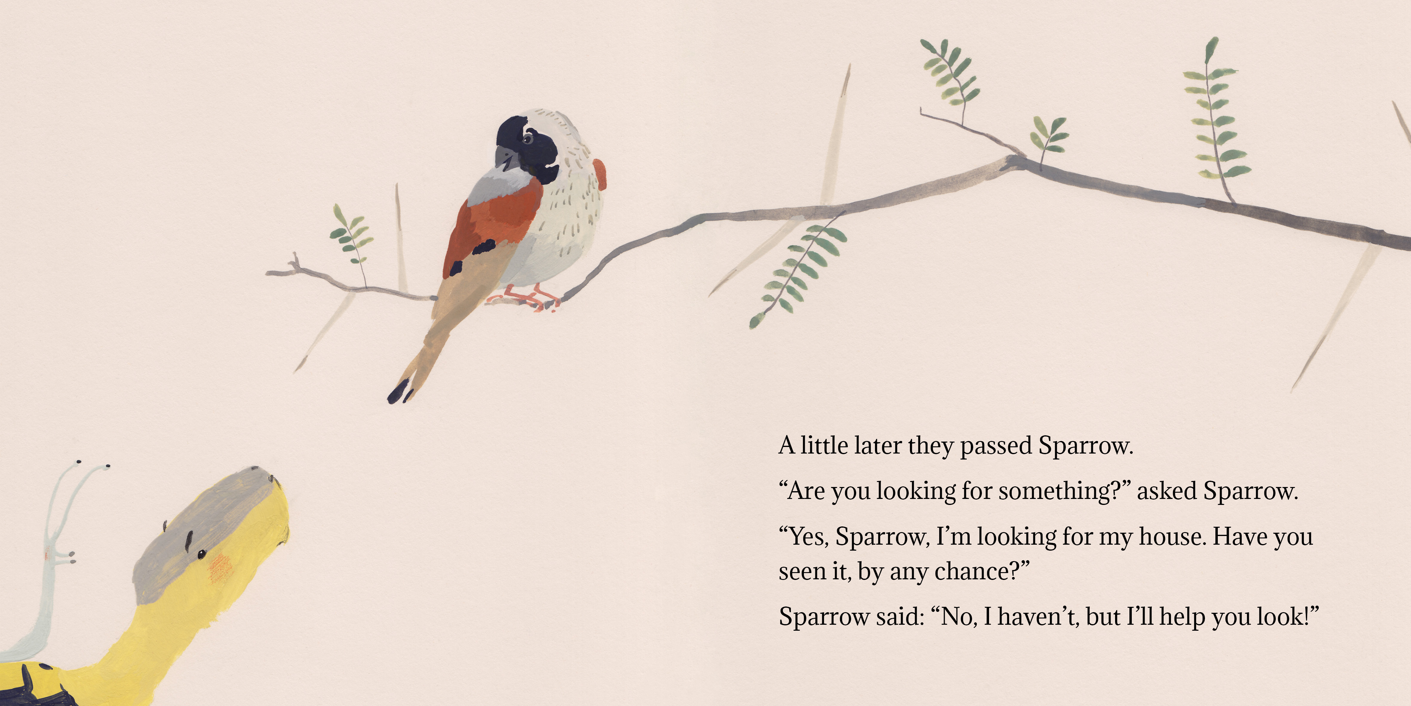 Tortoise finds his home — original illustrated page 4, English text included