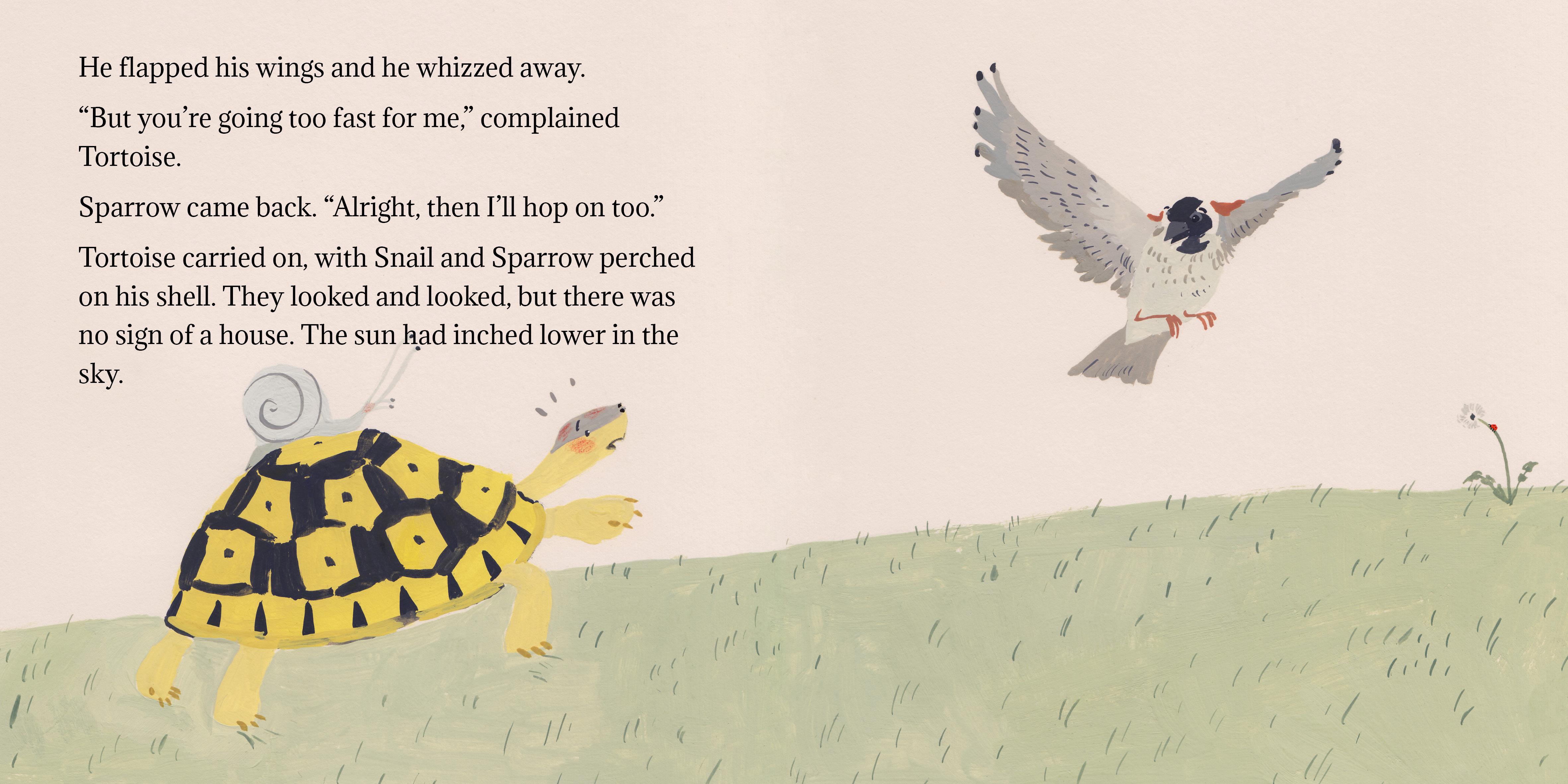 Tortoise finds his home — original illustrated page 5, English text included