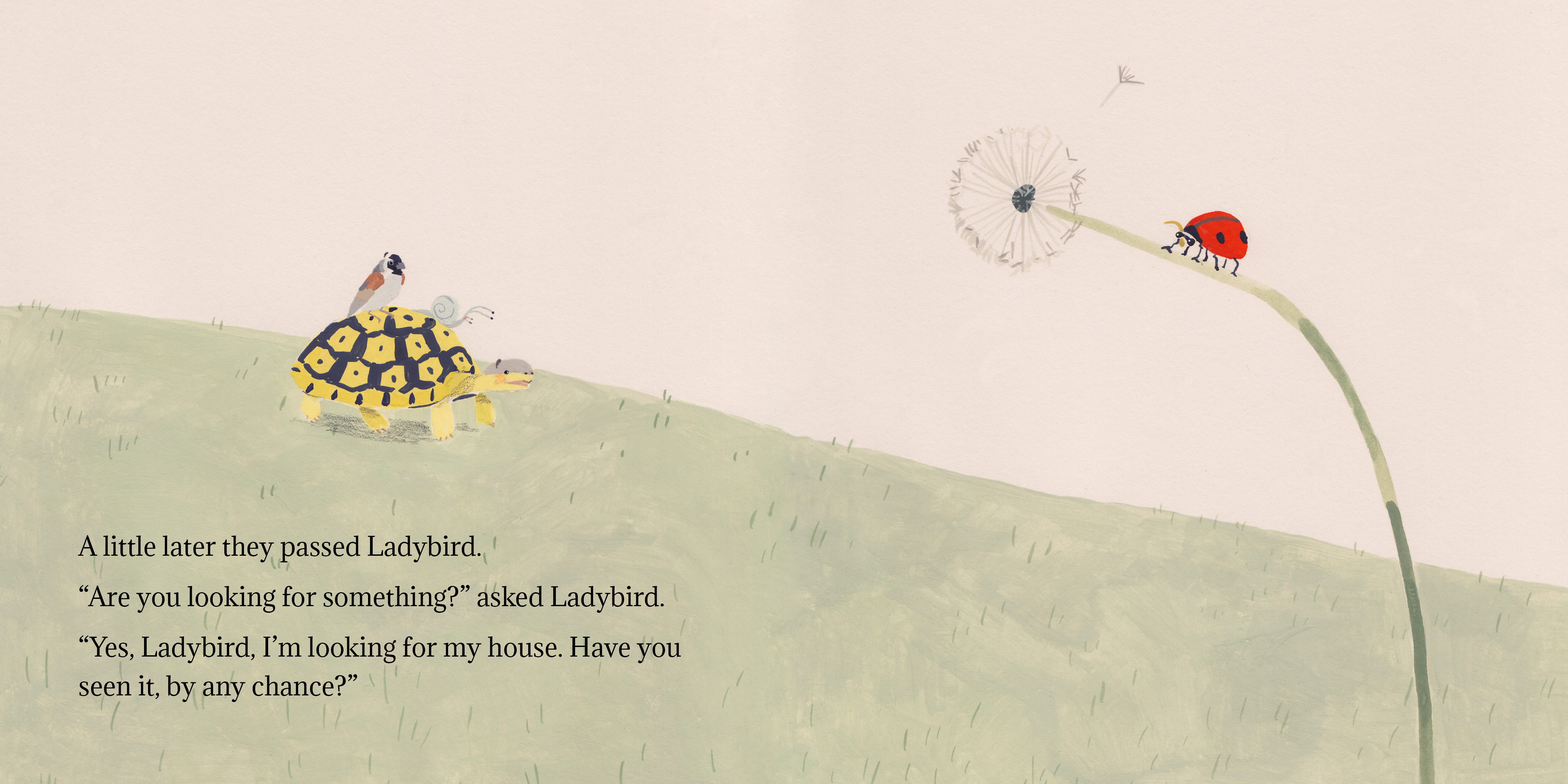 Tortoise finds his home — original illustrated page 6, English text included