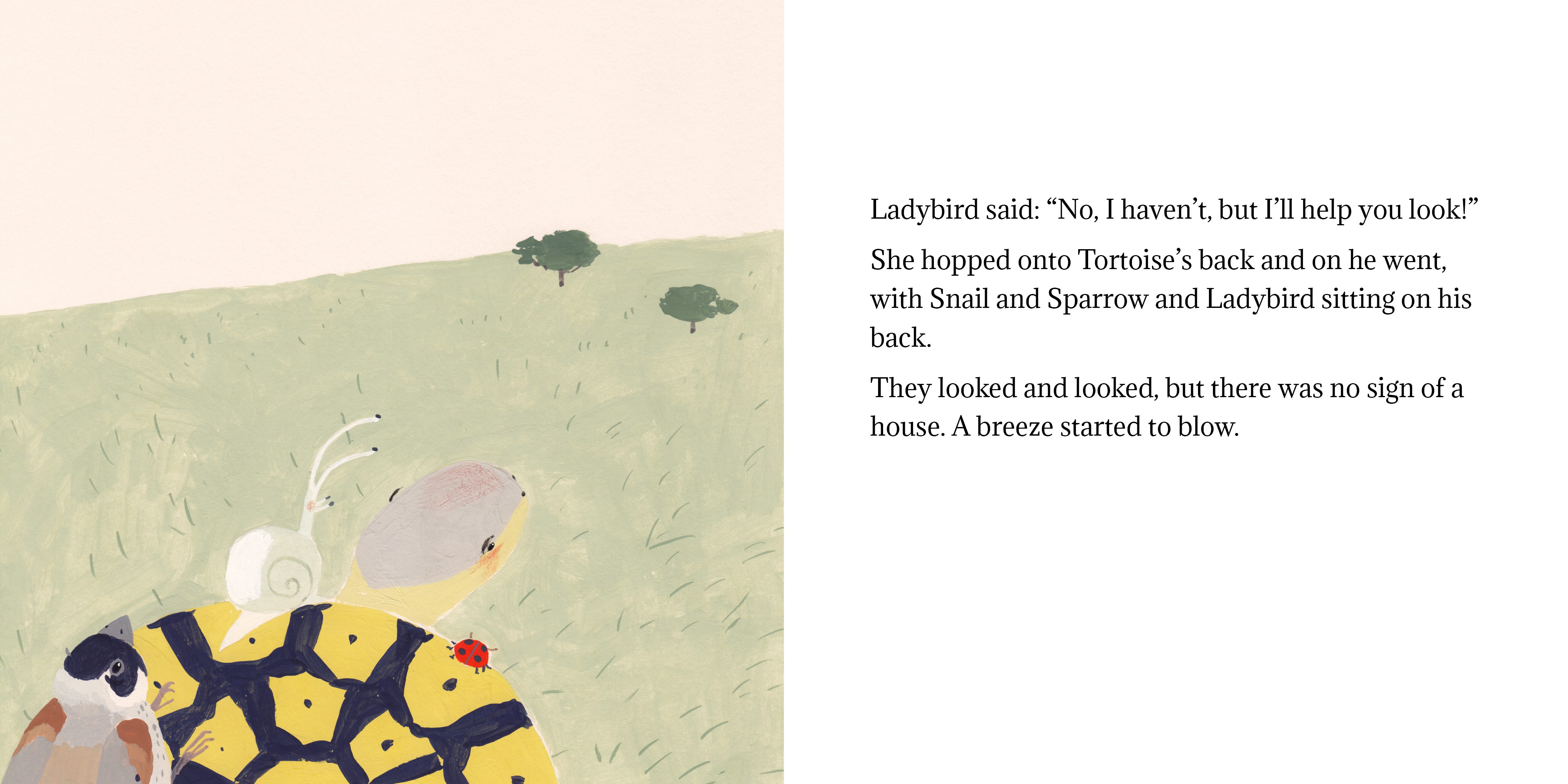 Tortoise finds his home — original illustrated page 7, English text included