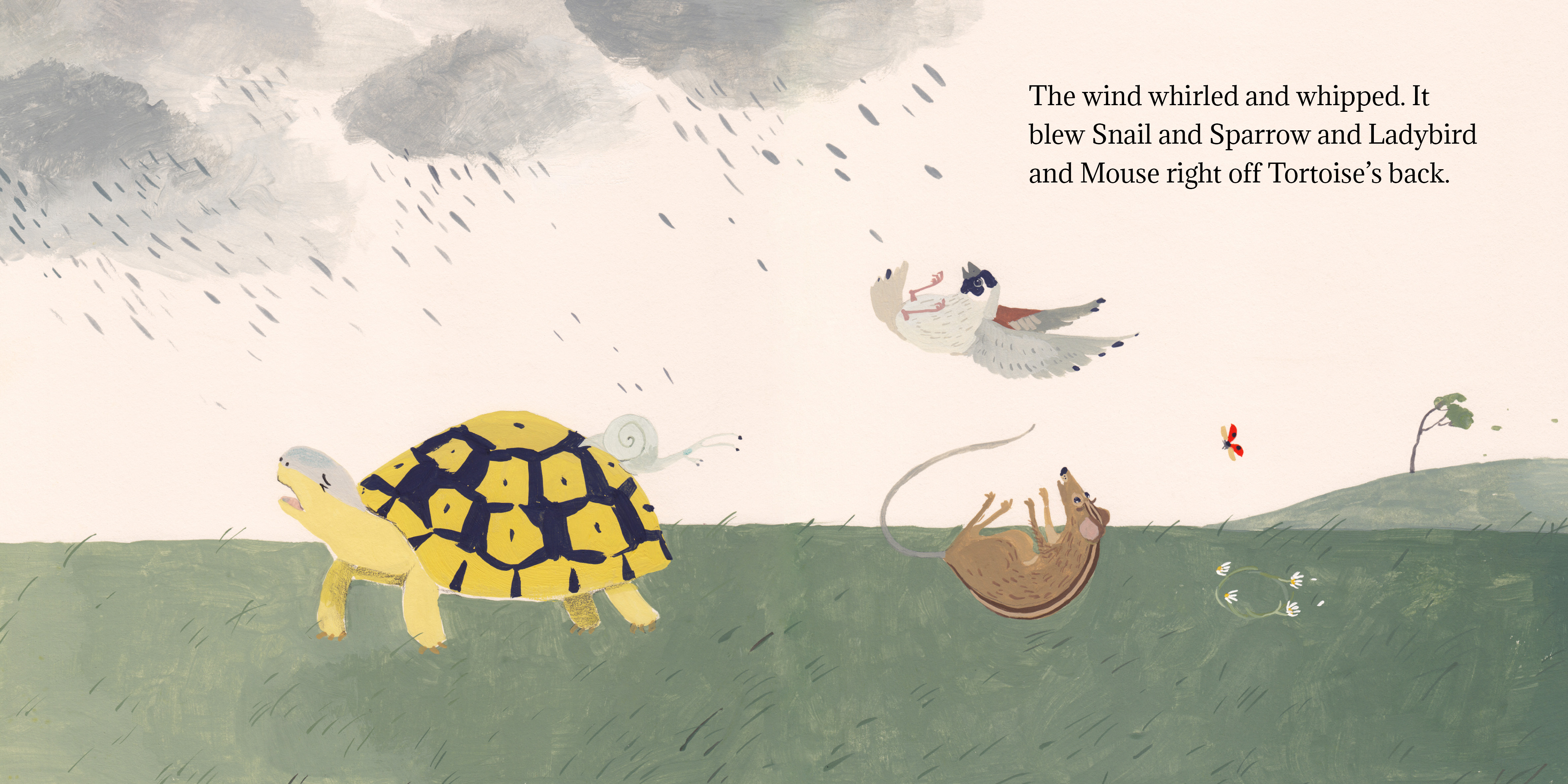 Tortoise finds his home — original illustrated page 11, English text included