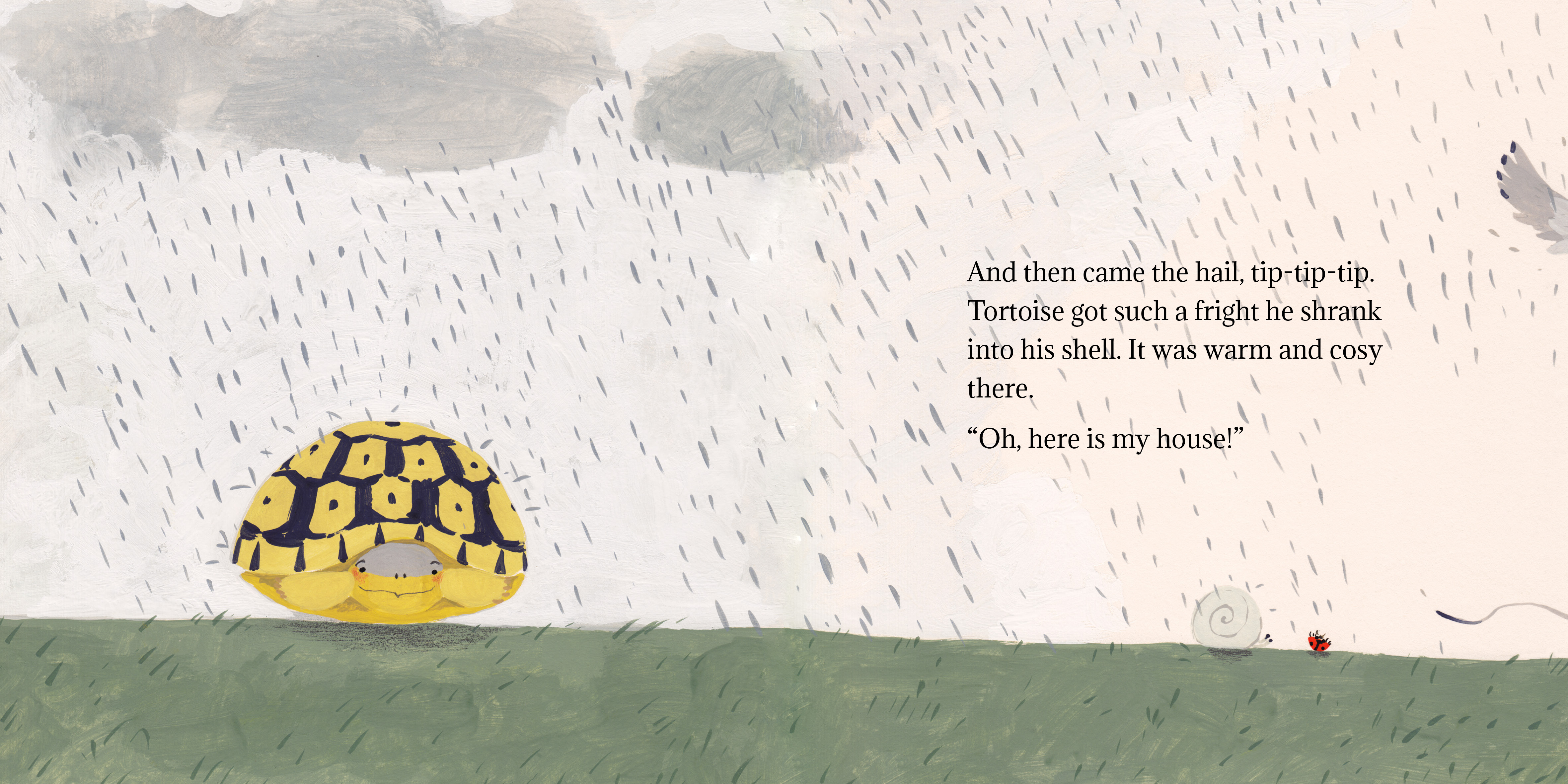 Tortoise finds his home — original illustrated page 12, English text included