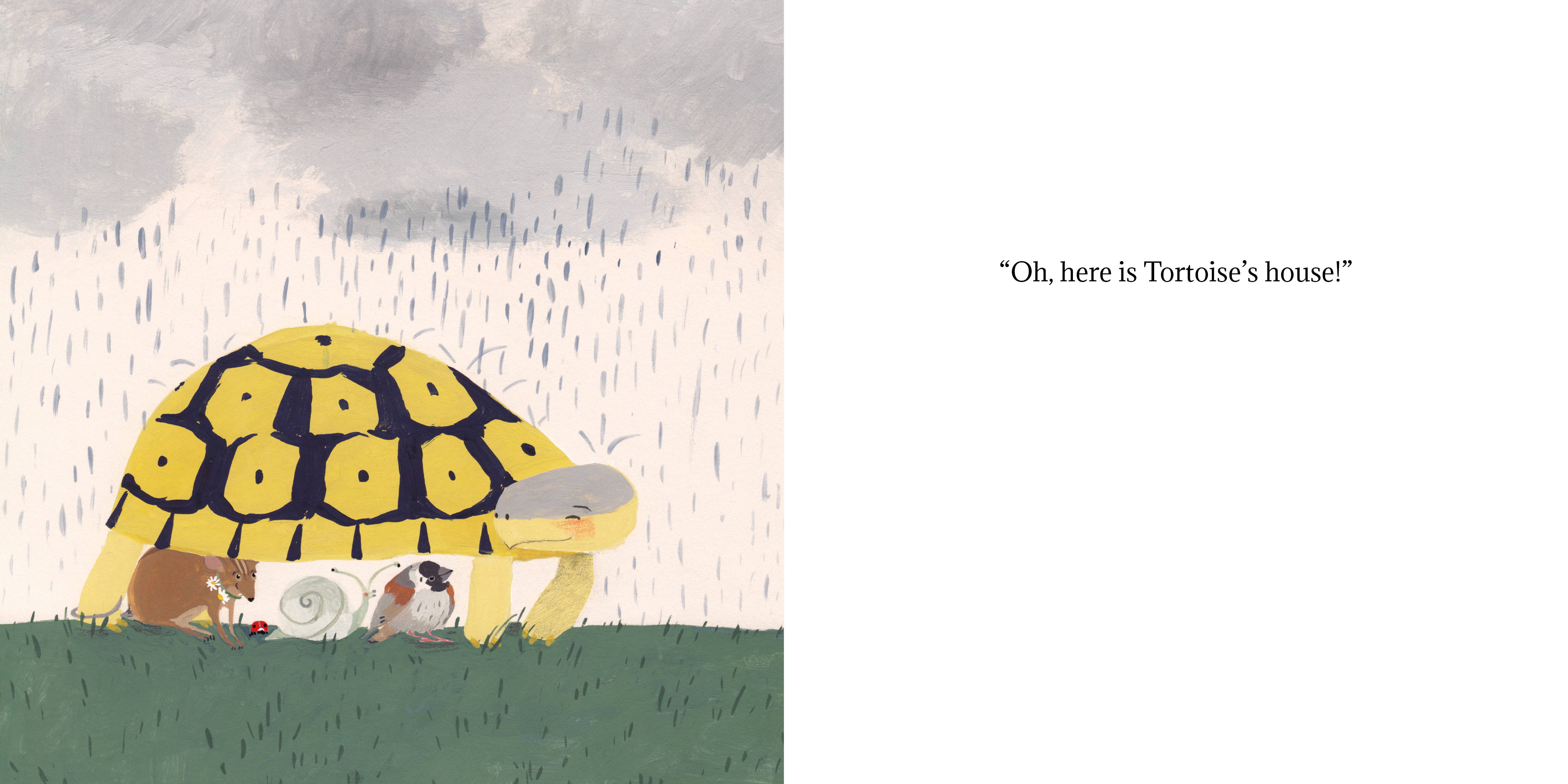 Tortoise finds his home — original illustrated page 13, English text included