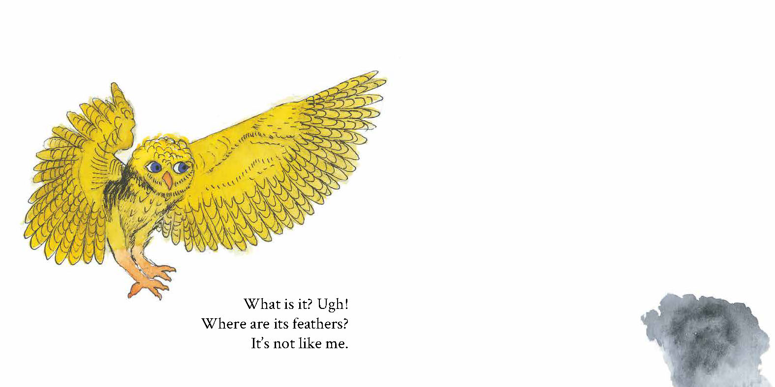 What is it? — original illustrated page 8, English text included